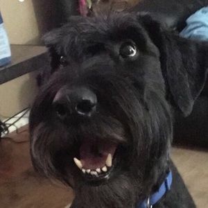 Meet your Posher, Brian